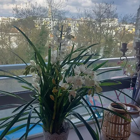 Homestay Chez L'habitante Avec Salle De Bain Et Cuisine Communes - Presence D'un Bordeaux